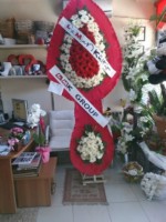 /album/anthurium/a2-katli-duvak-jpg1/